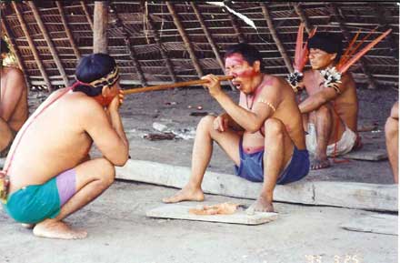 Sociedad Tribal Cacical del Noroeste de Venezuela